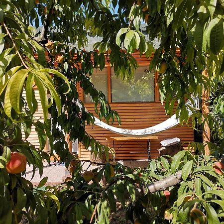 Relax Eaza - Casa Cu Hamac Villa คอนสตันซา ภายนอก รูปภาพ