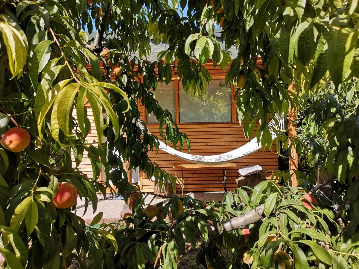 Relax Eaza - Casa Cu Hamac Villa คอนสตันซา ภายนอก รูปภาพ