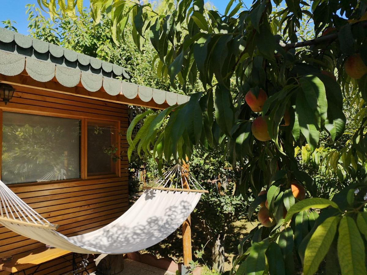 Relax Eaza - Casa Cu Hamac Villa คอนสตันซา ภายนอก รูปภาพ