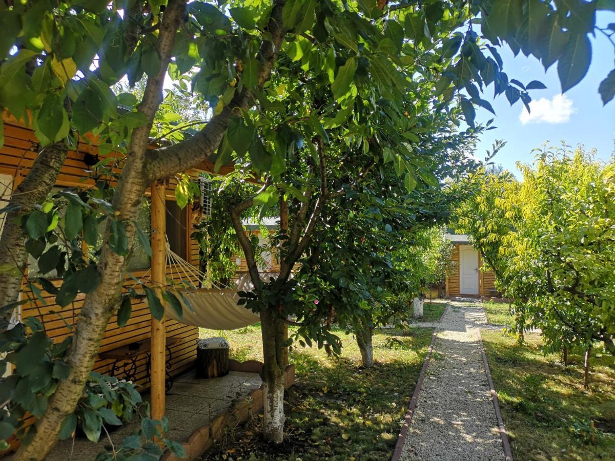 Relax Eaza - Casa Cu Hamac Villa คอนสตันซา ภายนอก รูปภาพ